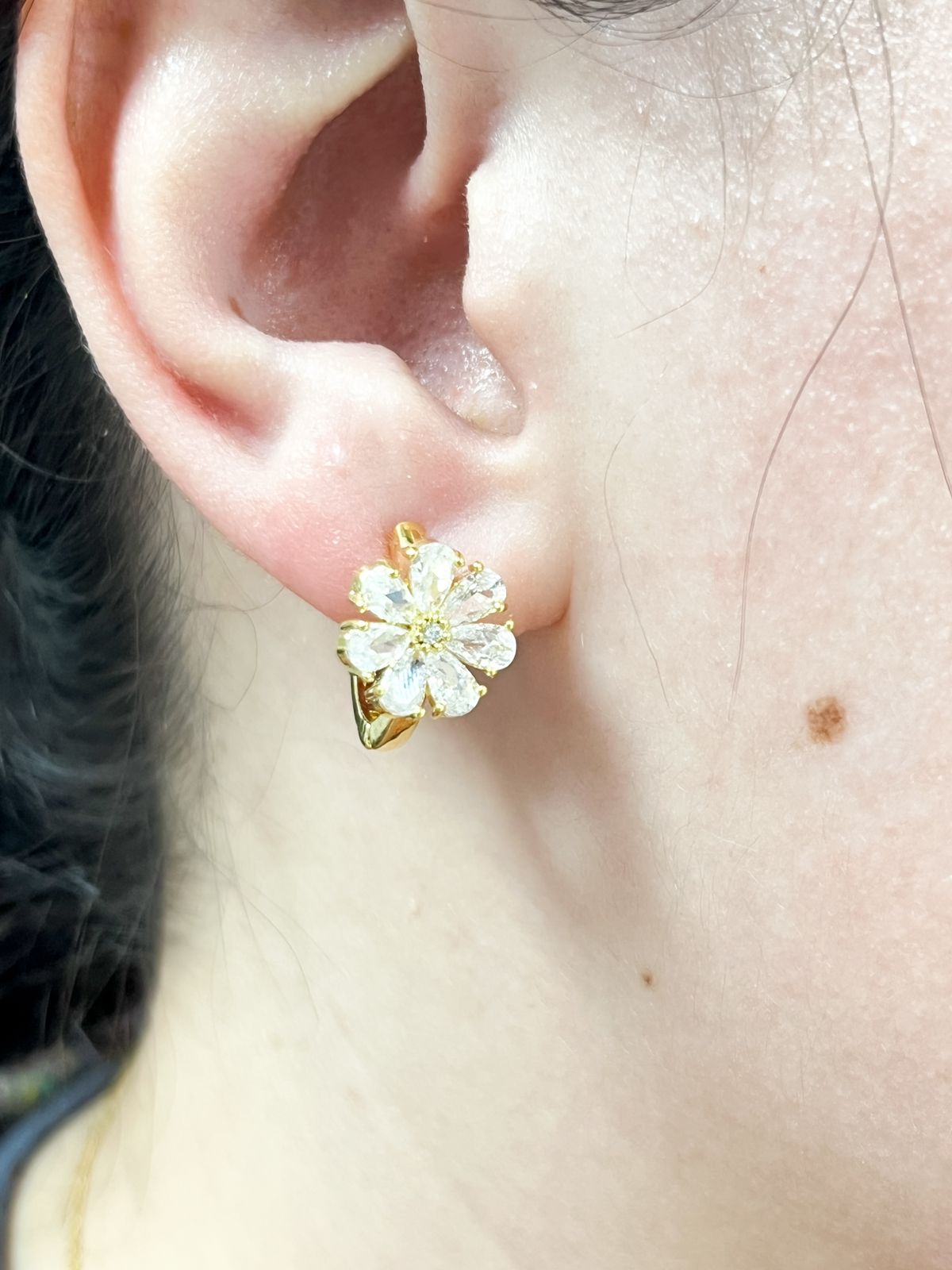 BR ARGOLA FLOR ZIRC