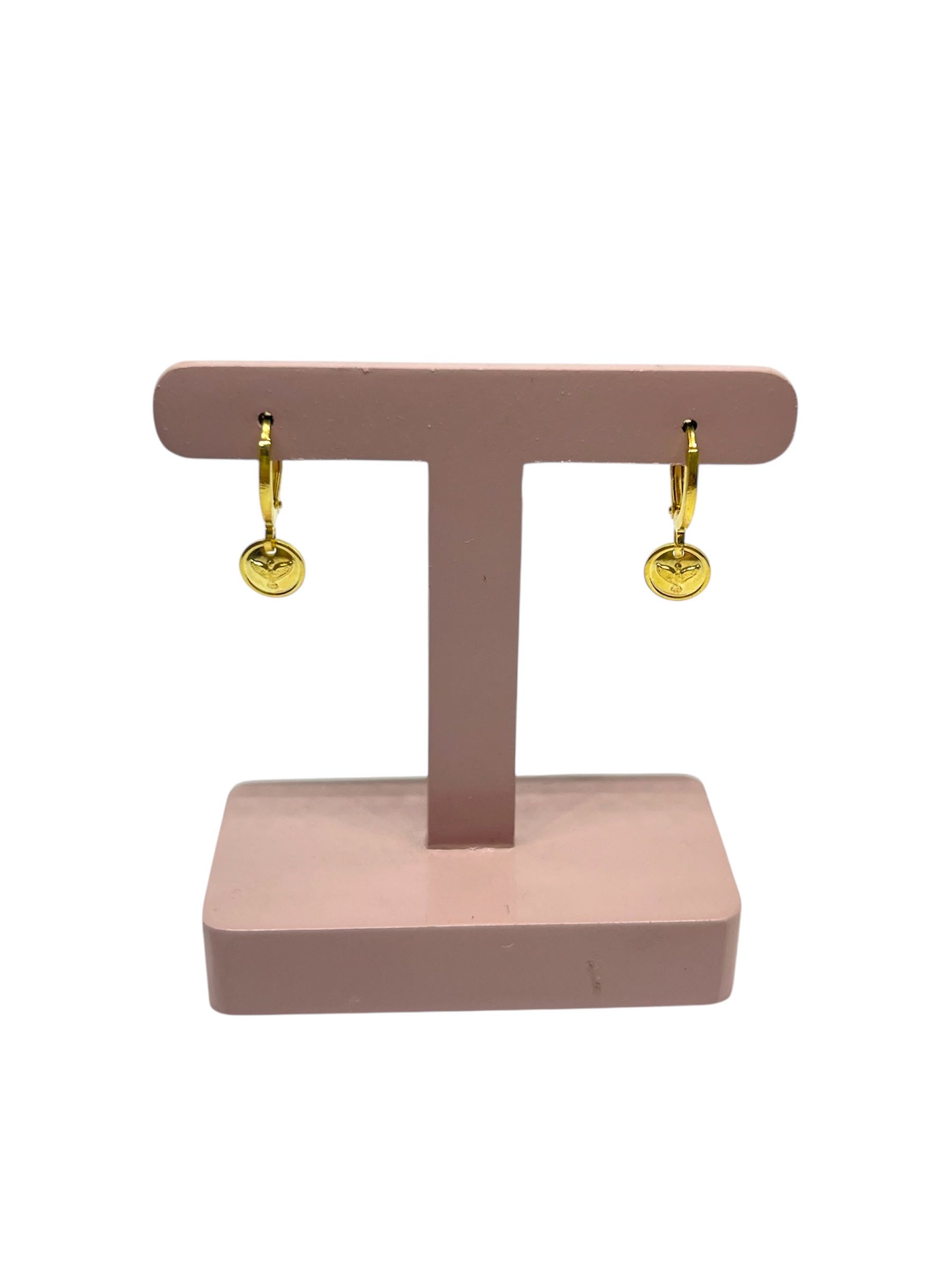 ARGOLA C/MEDALHA ESP SANTO P