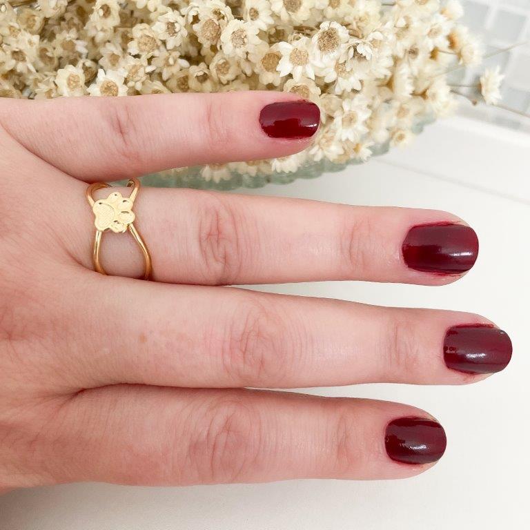 Anel Aro Duplo Patinha