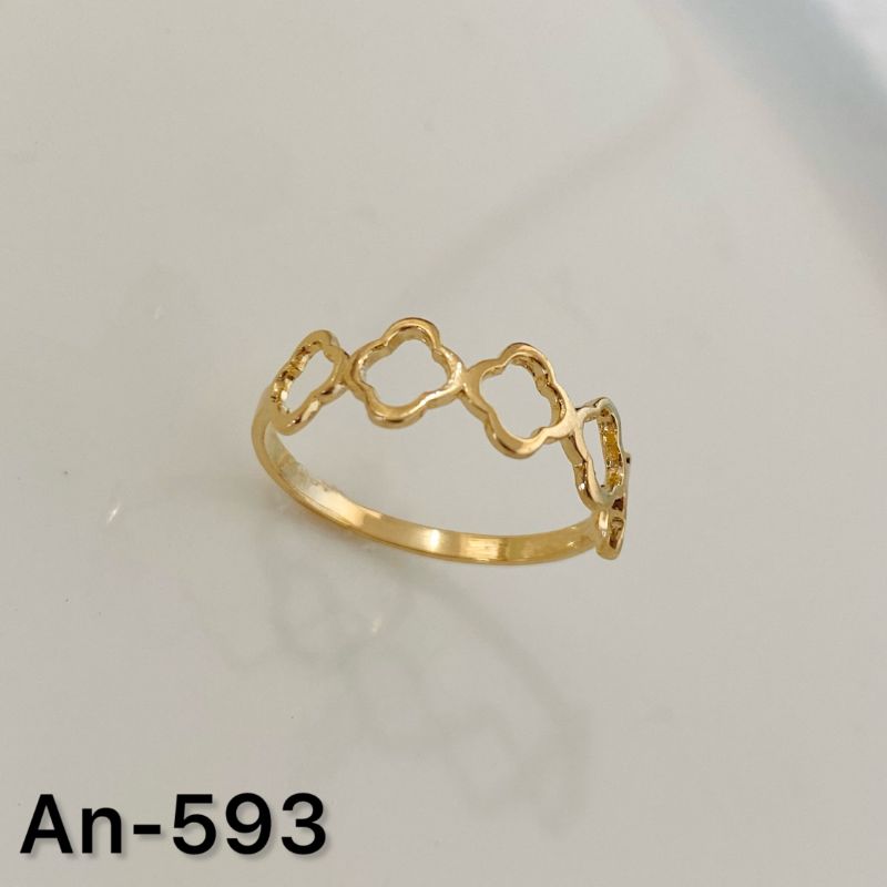 ANEL 593