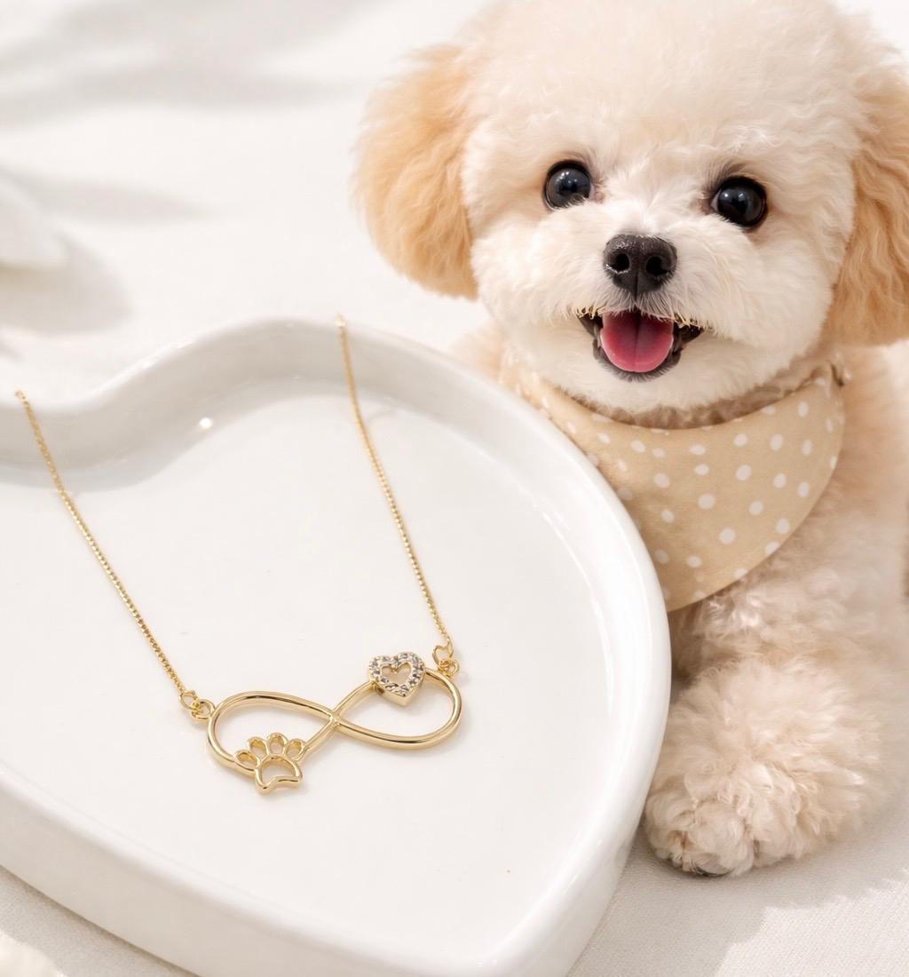 Colar Infinito Com Coração Cravejado e Patinha 45cm + 5cm Banhado a Ouro 18K
