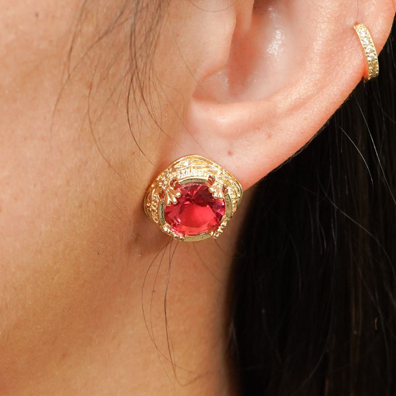 Brinco Redondo Luxo Pink