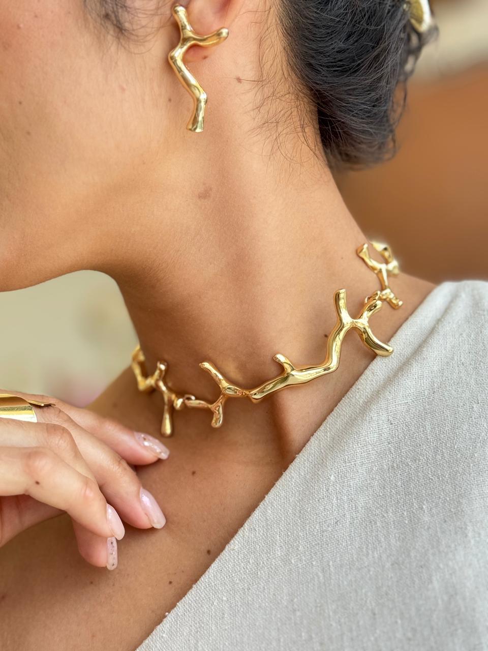 Conjunto colar e brinco organico espículas