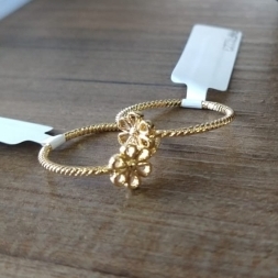 AN FO FLOR ARCO DETALHE BOLINHA