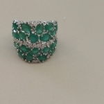 AN RB GOTA VERDE