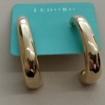 BR FO EAR HOOK LISO