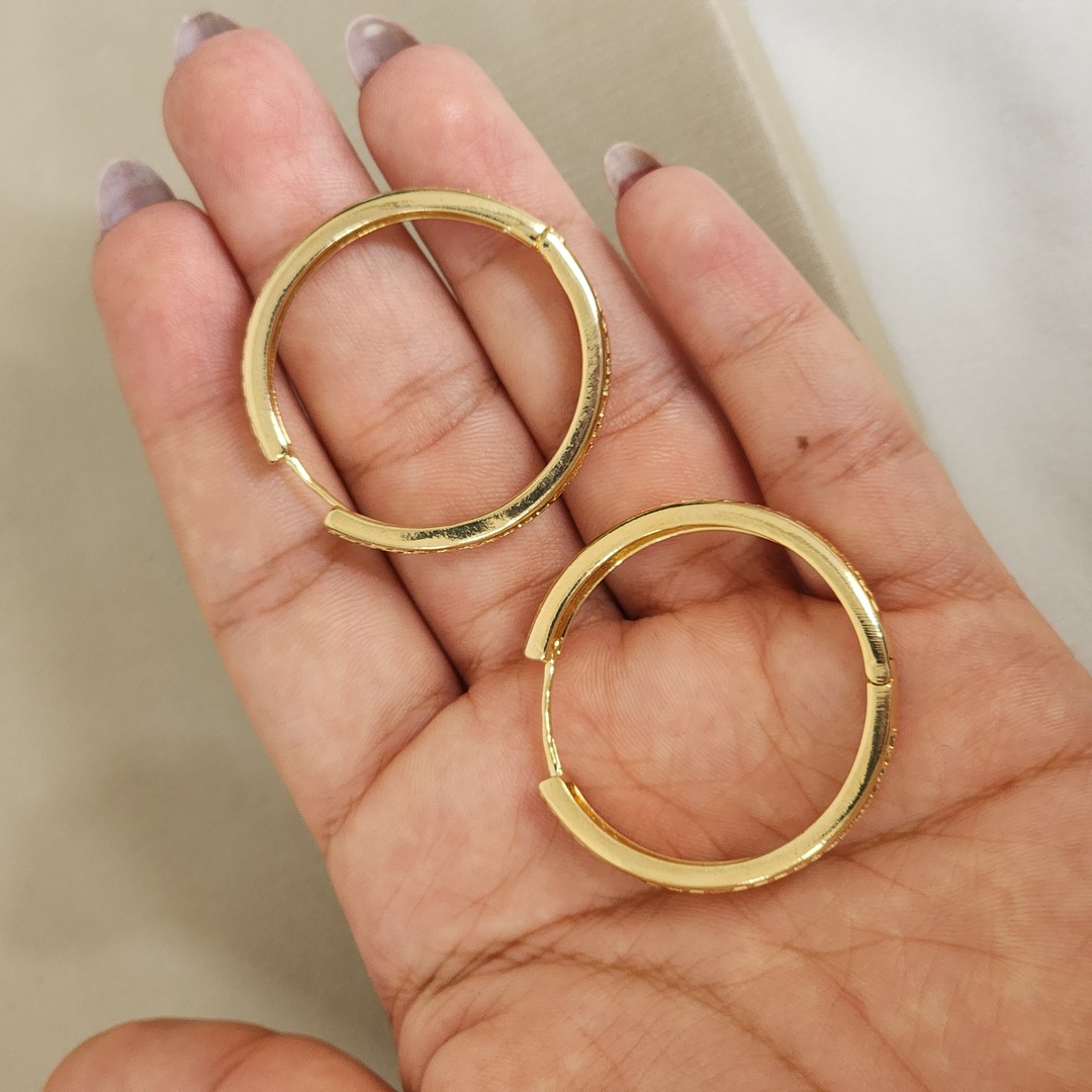 Argola Elegante Zircônia