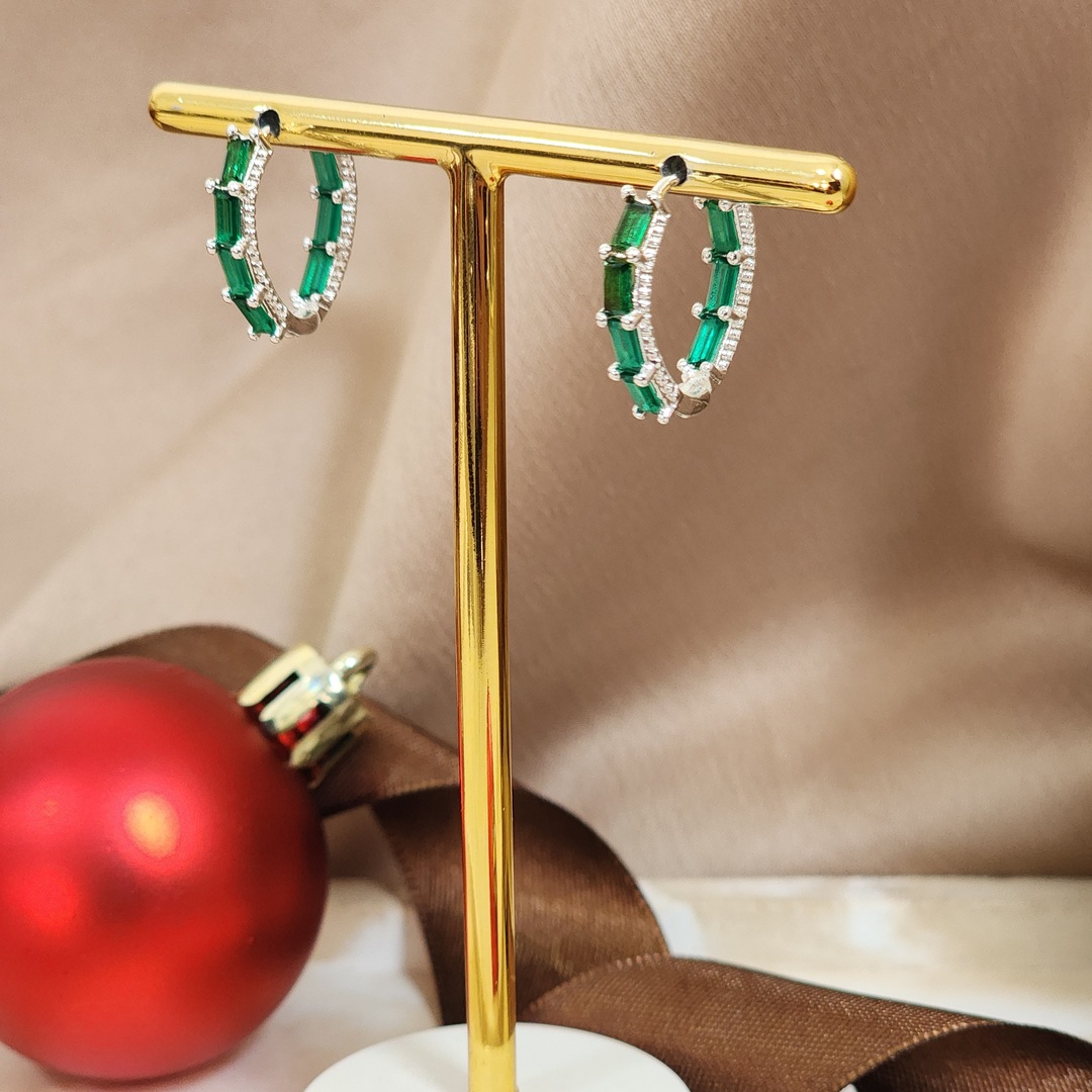 Argola Elegante Zircônia