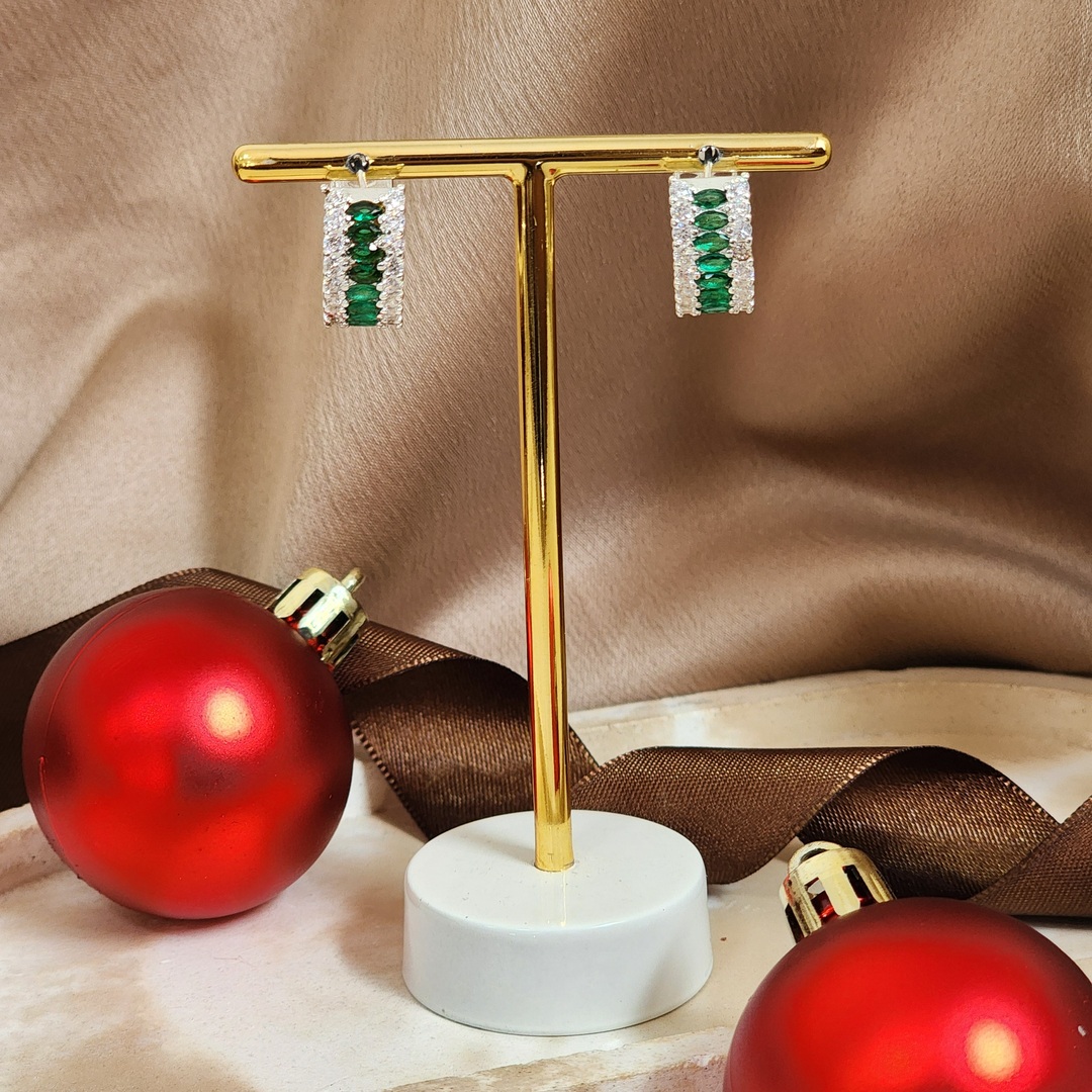 Argola Elegante Zircônia