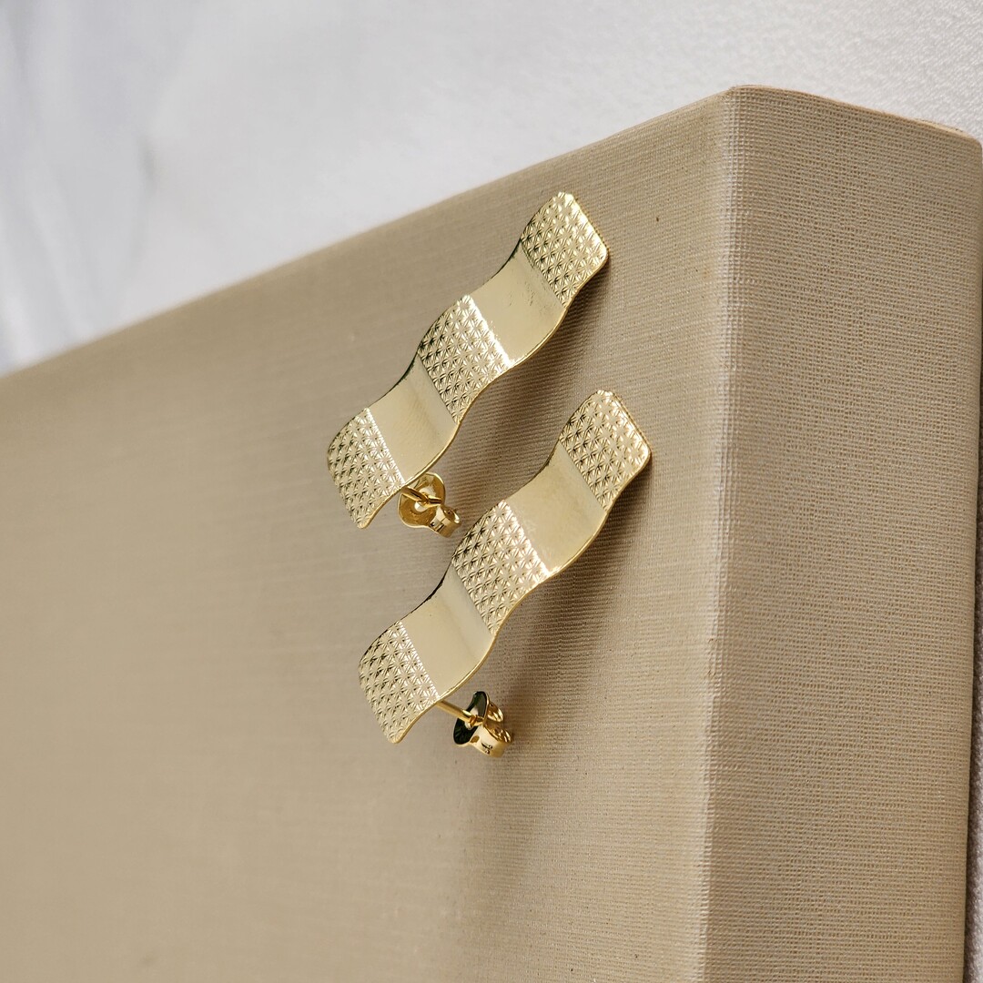 Brinco Liso Detalhado