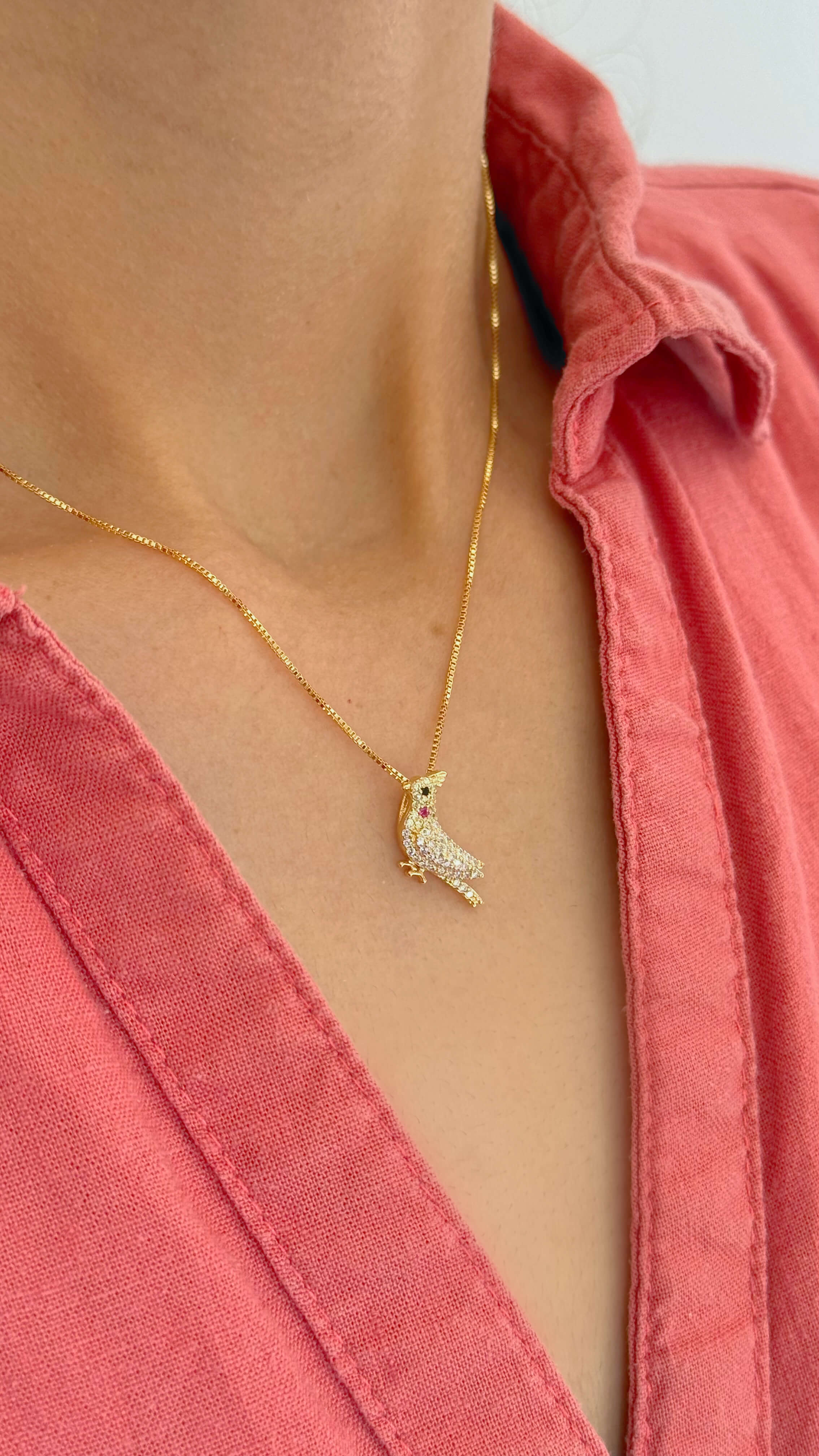 Colar Calopsita Zircônias Ouro