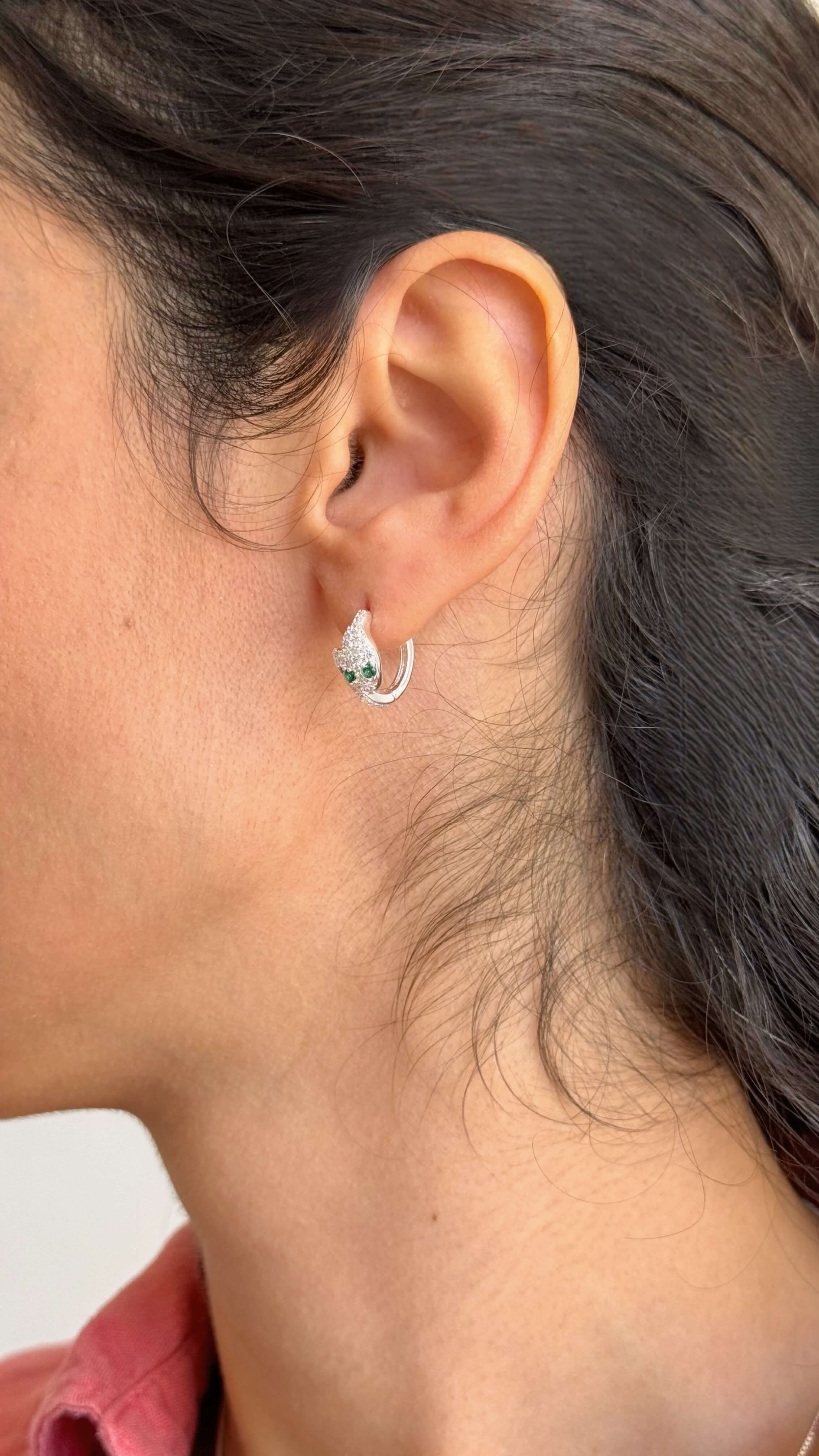 Brinco Argola Cobra Cravejada Prata