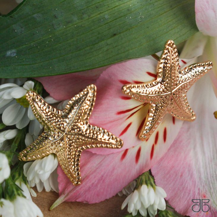 BRINCO ESTRELA DO MAR